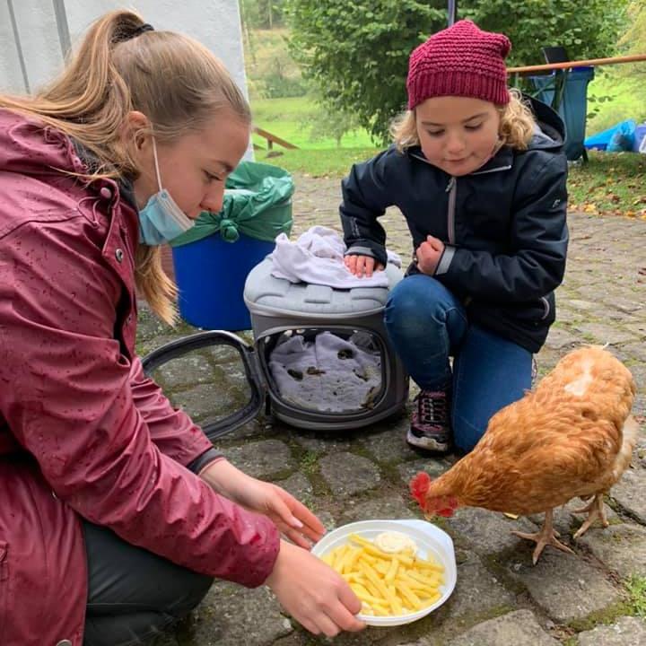 Foto Huhn Tiersegnung 2020 w 2