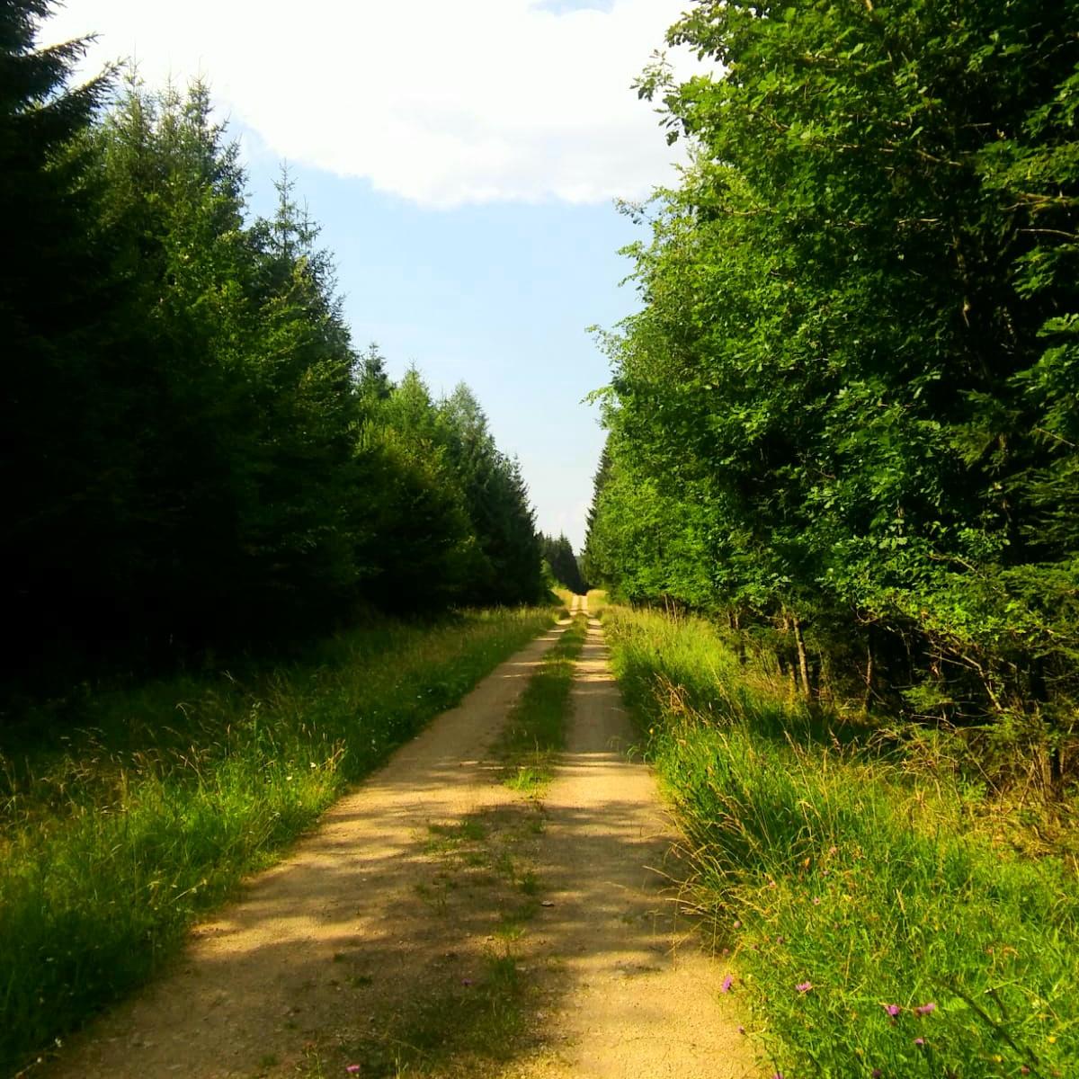 Foto für Abendwanderung