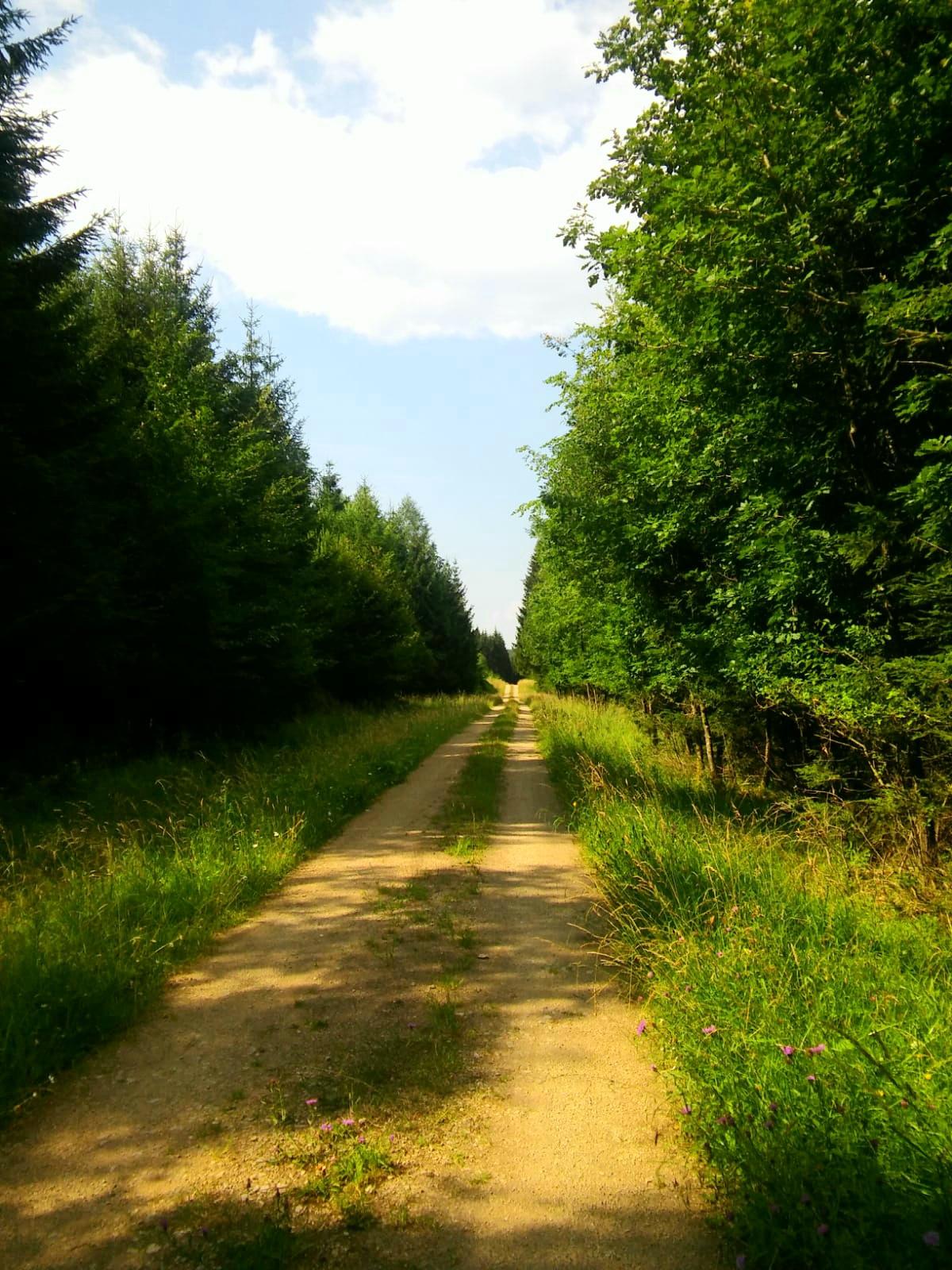 Foto für Abendwanderung