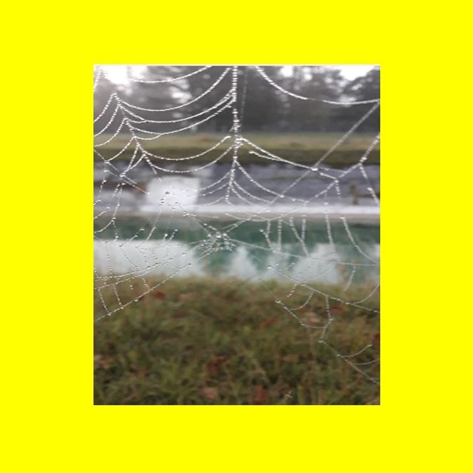Netz 20230119 ejo