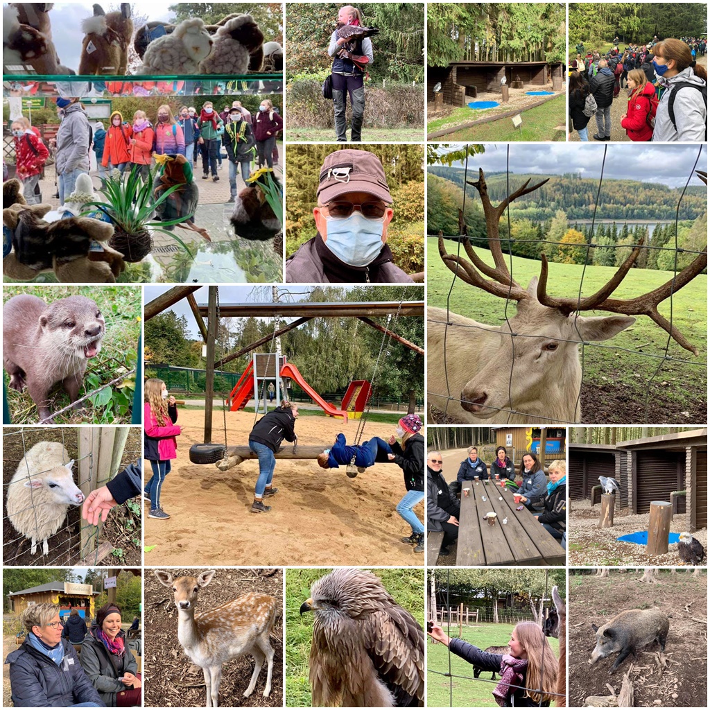 collage wildgehege hellenthal