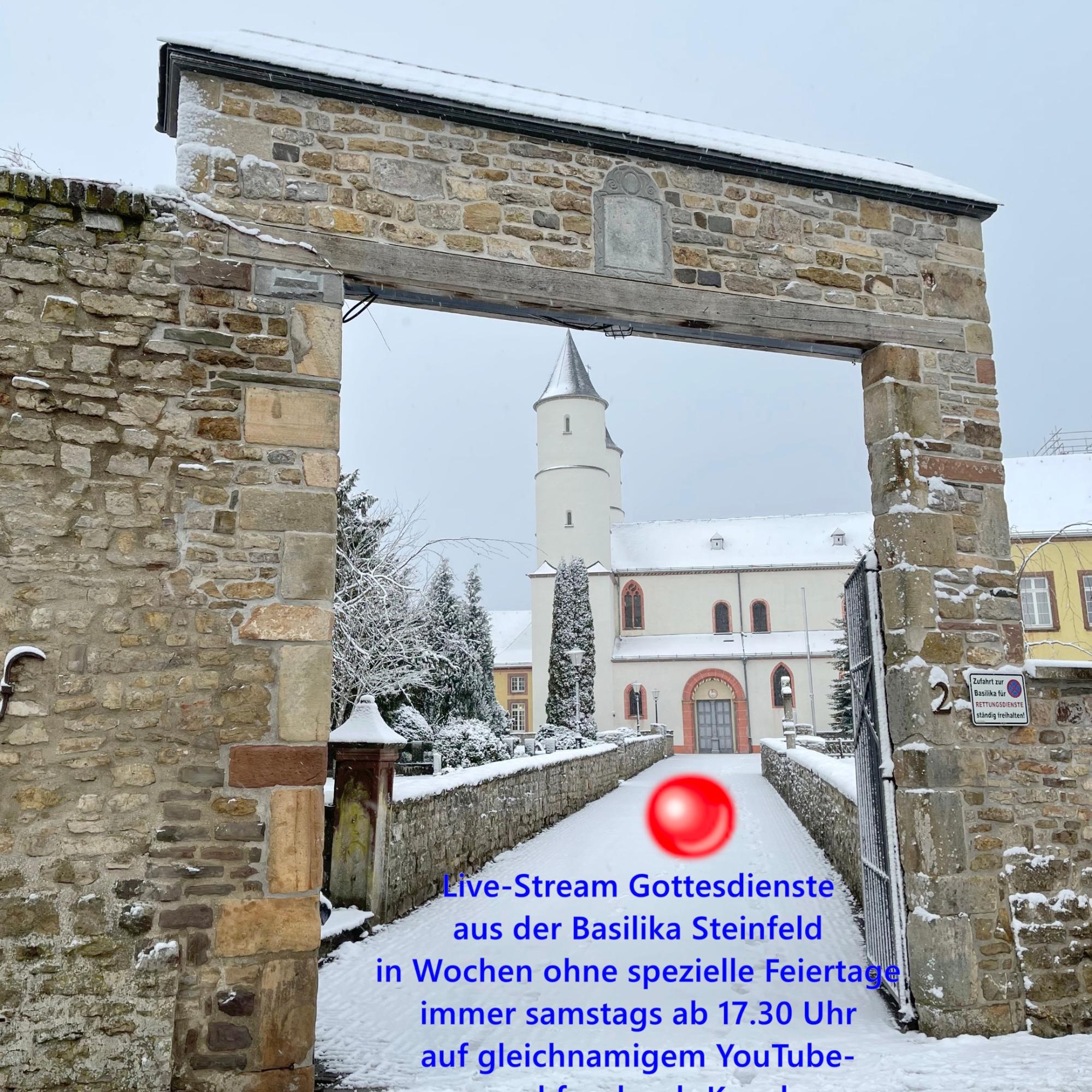 steinfeldschnee (3) j l
