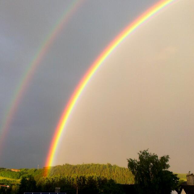 Regenbogen